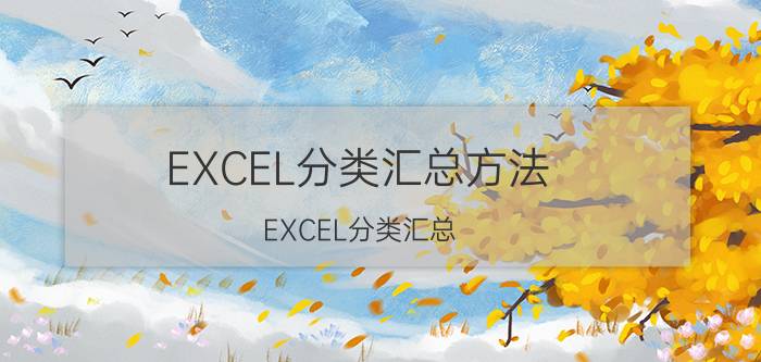 EXCEL分类汇总方法 EXCEL分类汇总？